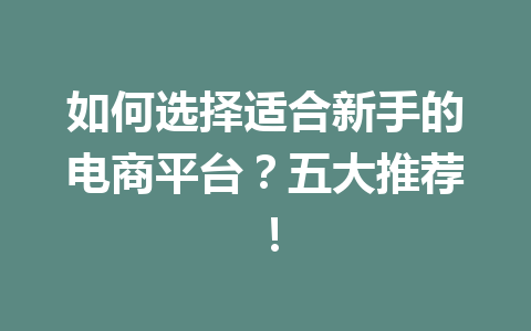 如何选择适合新手的电商平台？五大推荐！