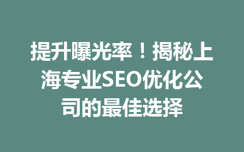 提升曝光率!揭秘上海专业SEO优化公司的最佳选择