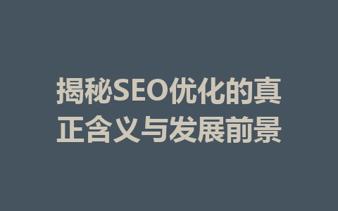 揭秘SEO优化的真正含义与发展前景