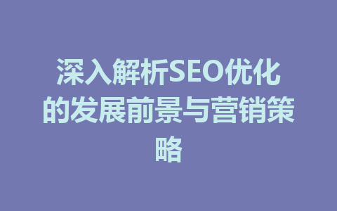 深入解析SEO优化的发展前景与营销策略