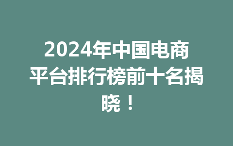 2024年中国电商平台排行榜前十名揭晓!