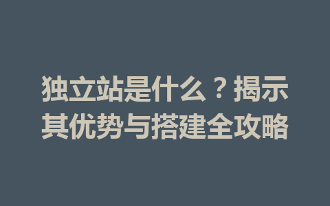 独立站是什么?揭示其优势与搭建全攻略