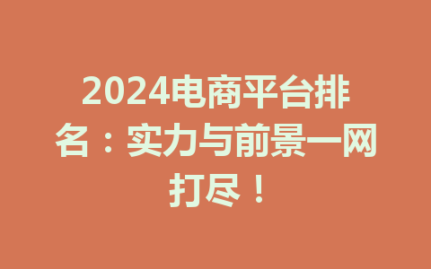 2024电商平台排名:实力与前景一网打尽!