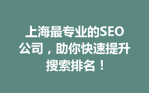 上海最专业的SEO公司，助你快速提升搜索排名！