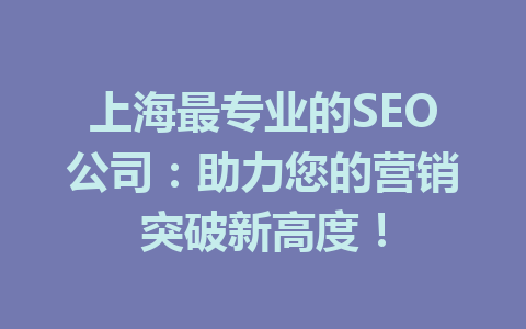 上海最专业的SEO公司:助力您的营销突破新高度!