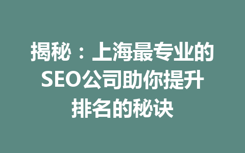 揭秘:上海最专业的SEO公司助你提升排名的秘诀
