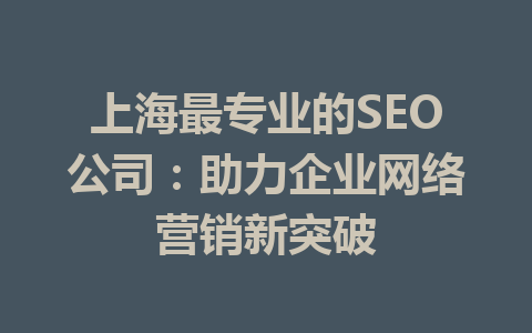 上海最专业的SEO公司:助力企业网络营销新突破