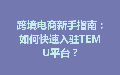 跨境电商新手指南:如何快速入驻TEMU平台?