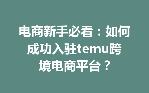电商新手必看:如何成功入驻temu跨境电商平台?