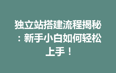 独立站搭建流程揭秘：新手小白如何轻松上手！
